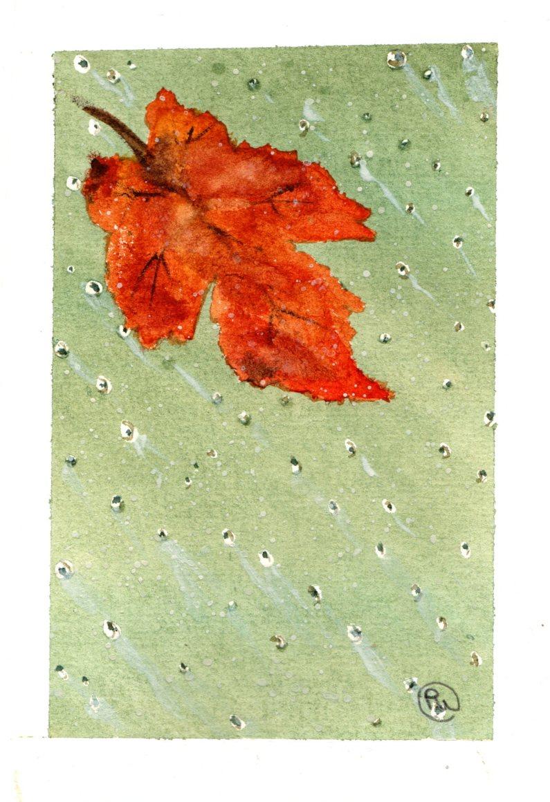 Rainy leaf - image 1 - student project