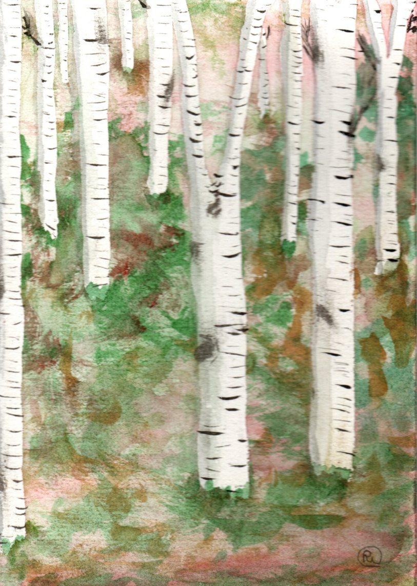 Birch Tree Forest - image 1 - student project