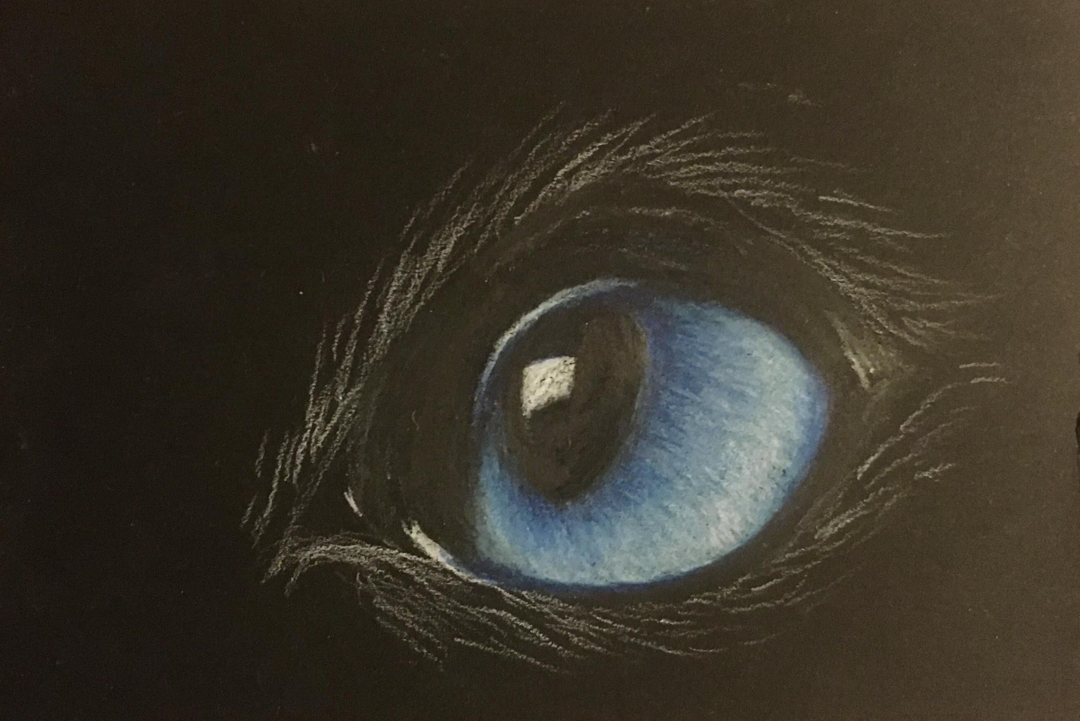 Cat eyes - image 2 - student project