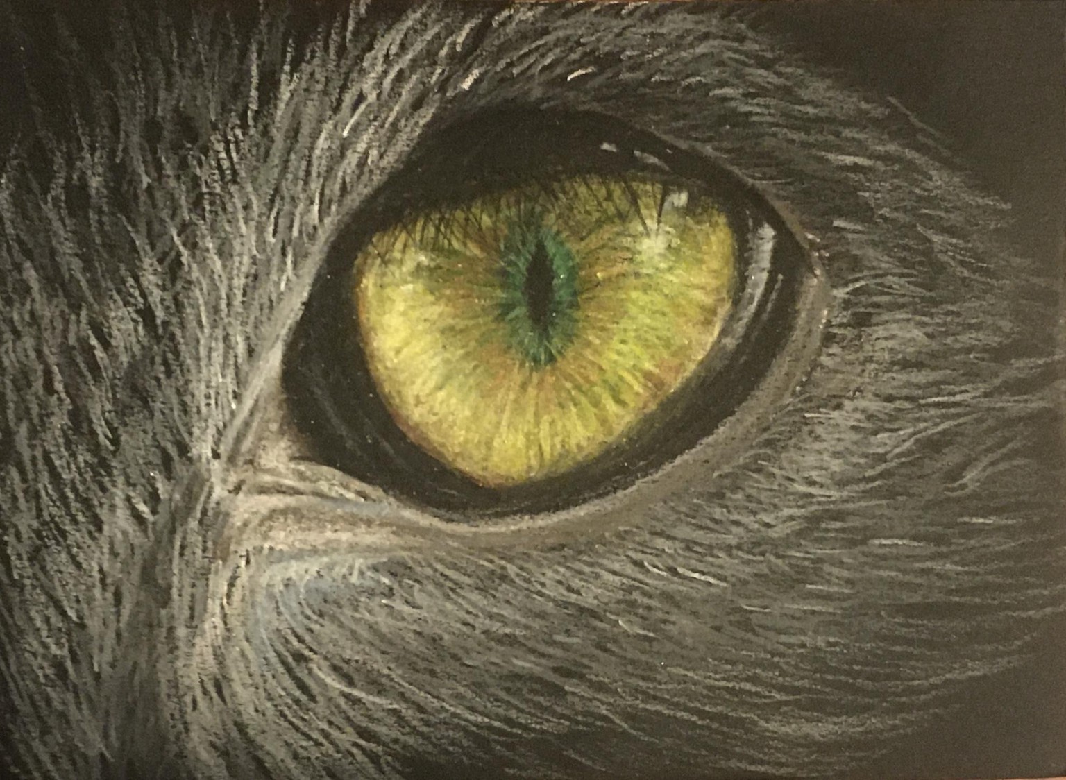 Cat eyes - image 1 - student project