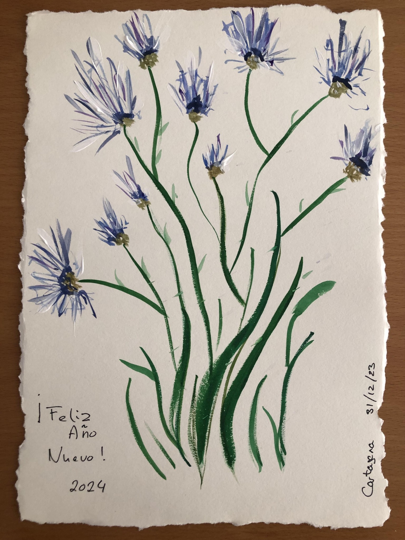 Day 1 Cornflower - image 1 - student project