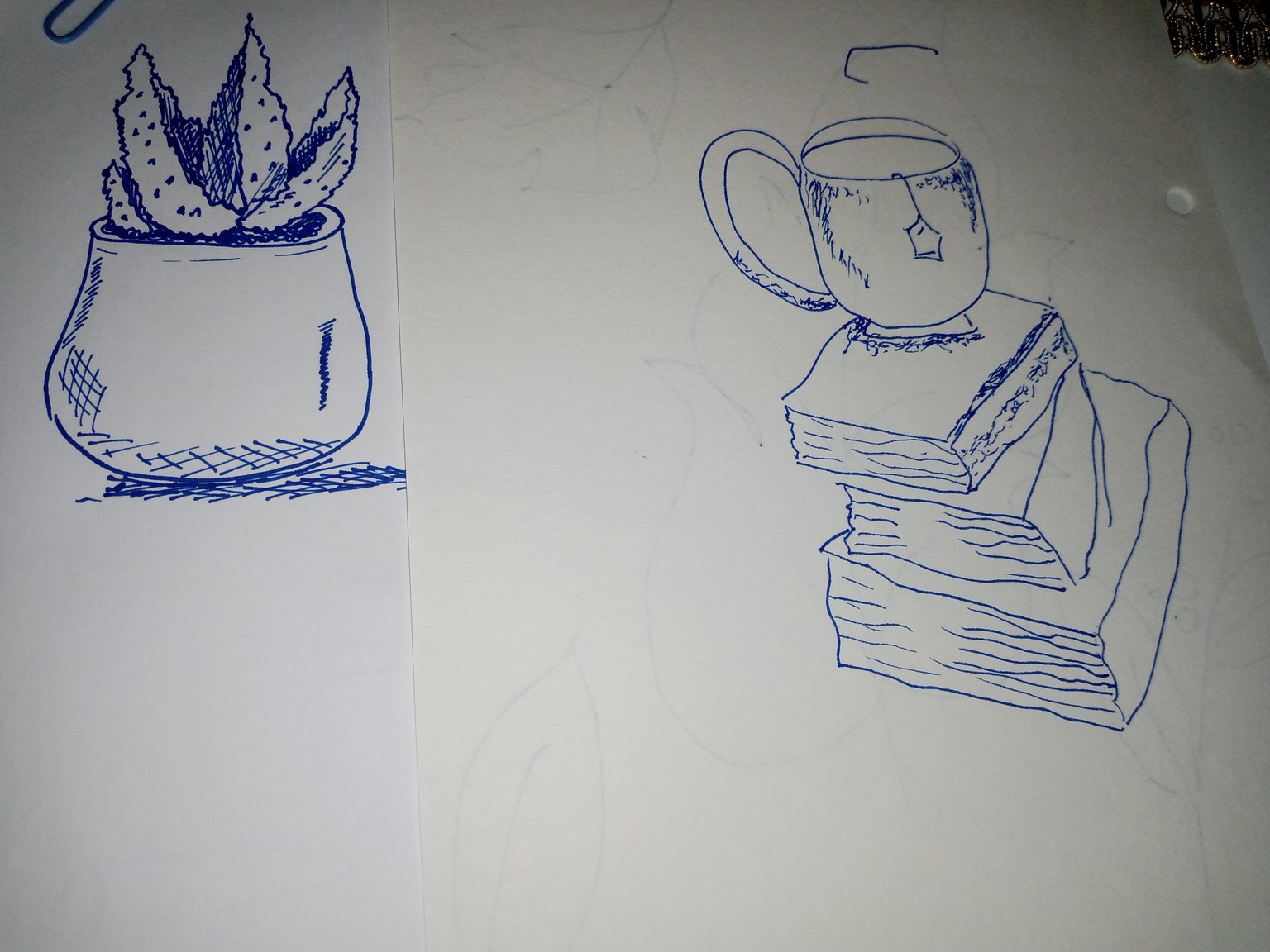 Shape blocking and opposite hand drawing - image 1 - student project