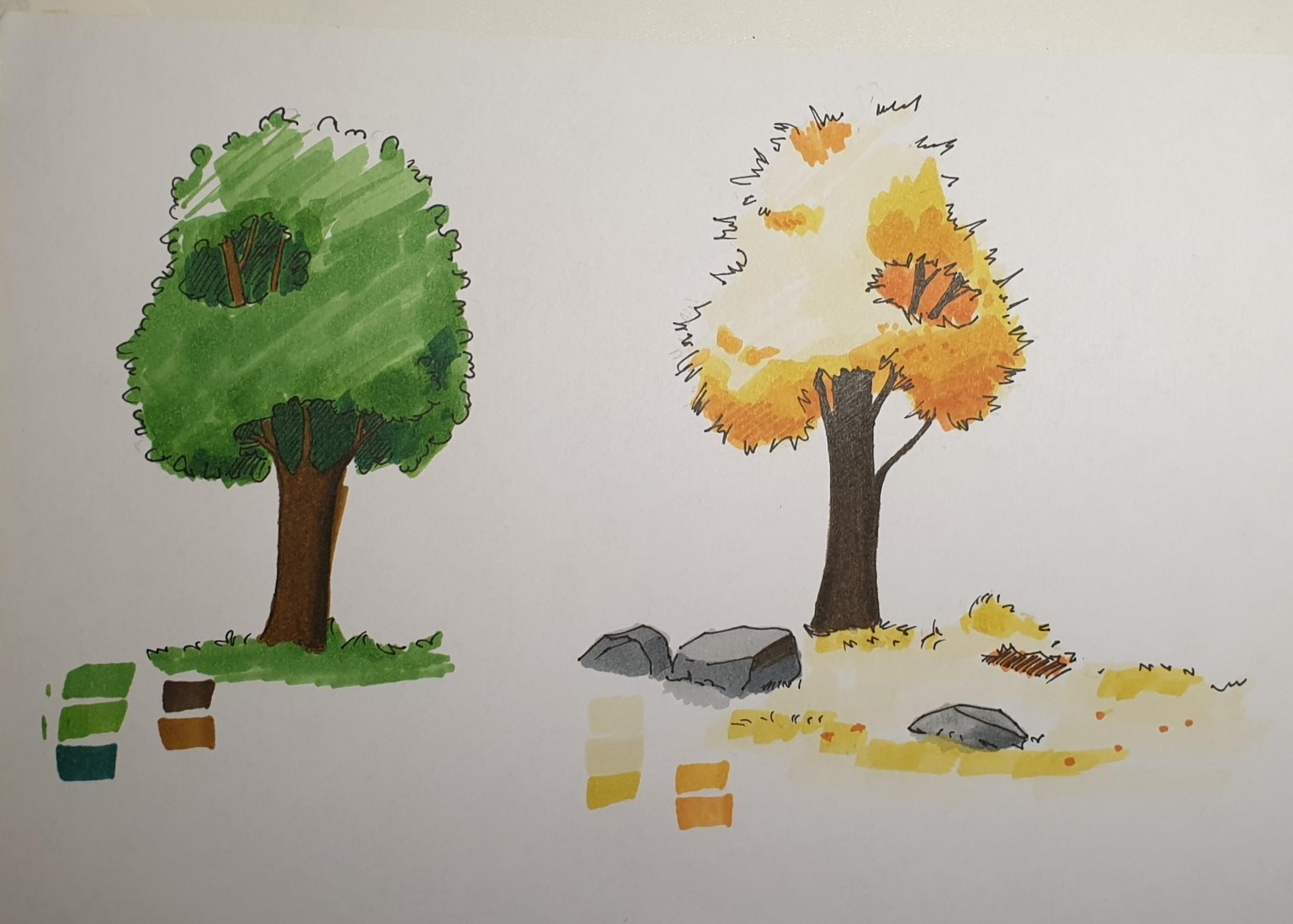 Sketching Nature with Sarah Burns - image 14 - student project