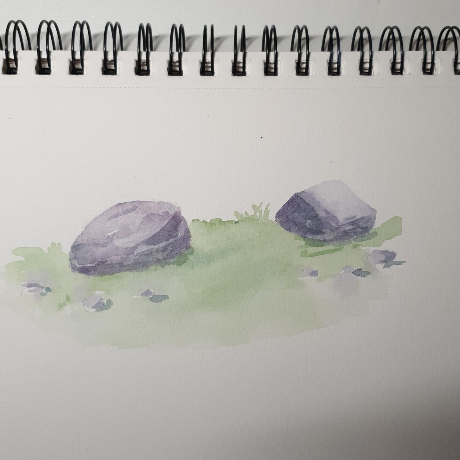 Sketching Nature with Sarah Burns - image 11 - student project
