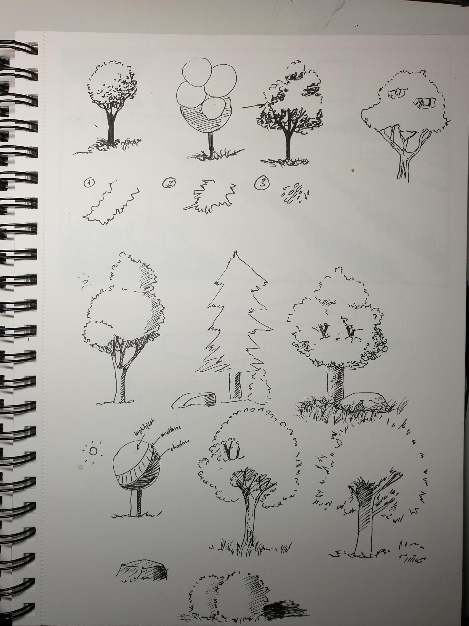 Sketching Nature with Sarah Burns - image 6 - student project