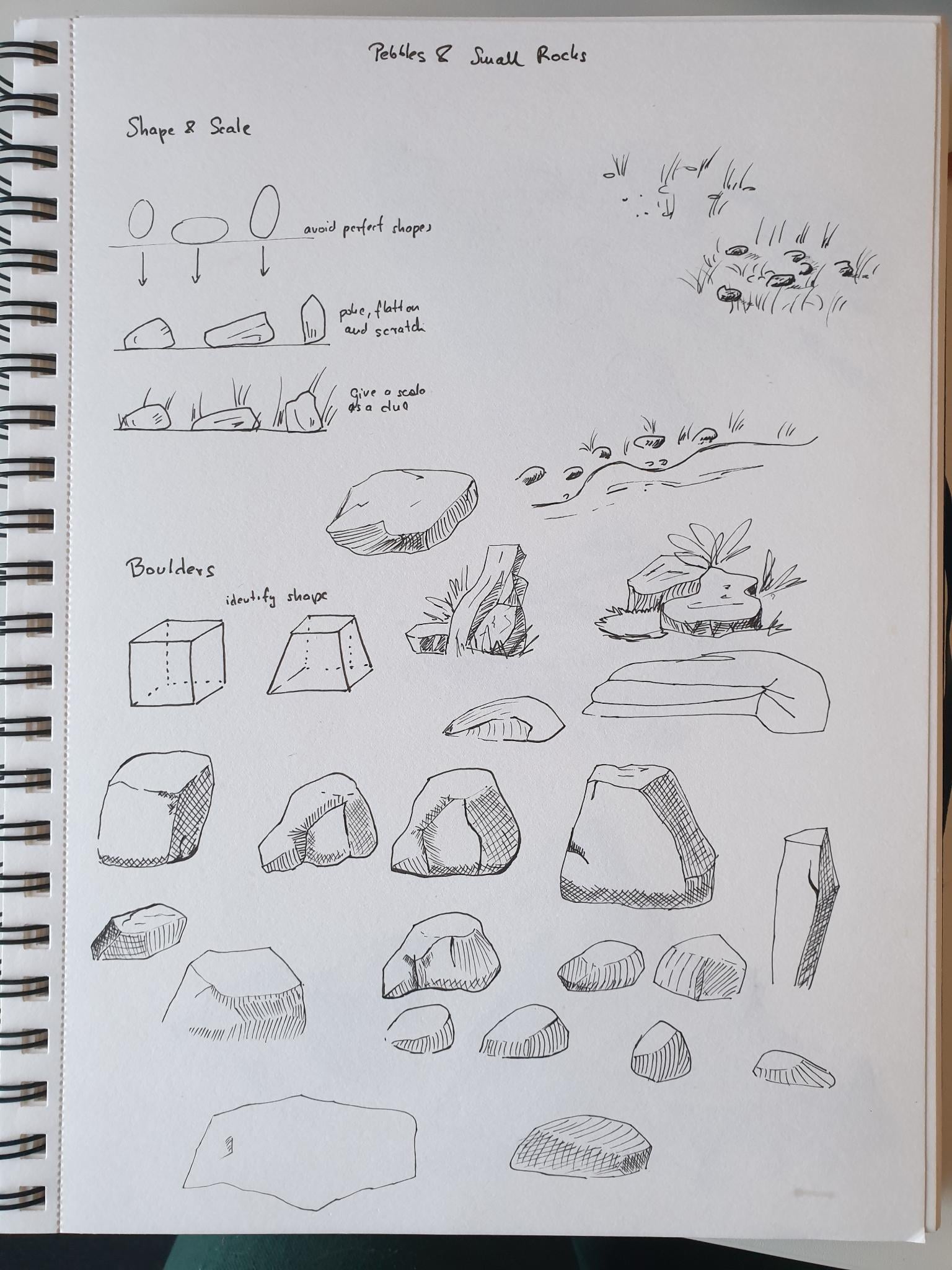 Draw & Paint ROCKS  with Sarah Burns - image 1 - student project