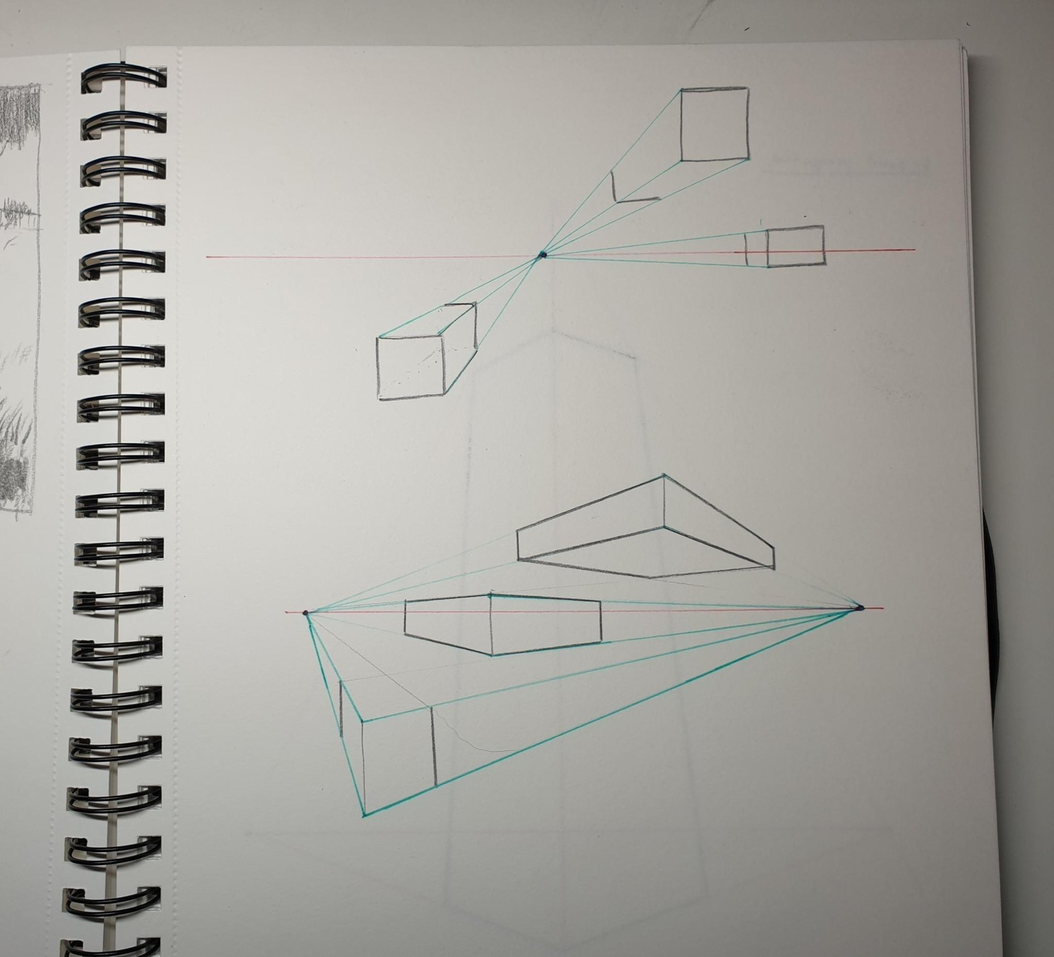 Sketching Nature with Sarah Burns - image 8 - student project
