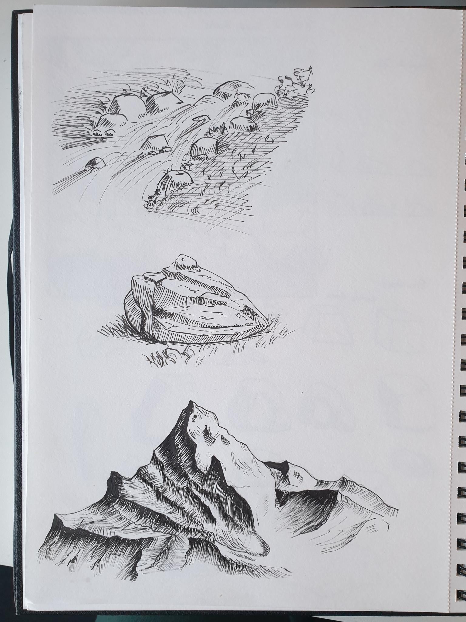 Draw & Paint ROCKS  with Sarah Burns - image 3 - student project