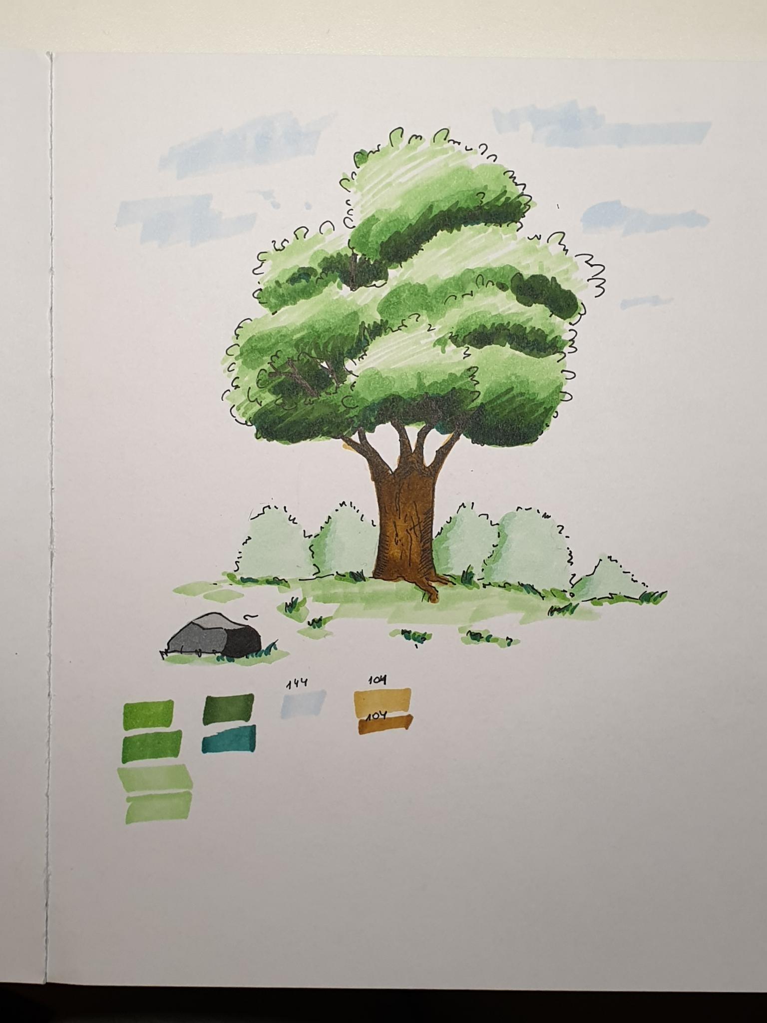 Sketching Nature with Sarah Burns - image 13 - student project
