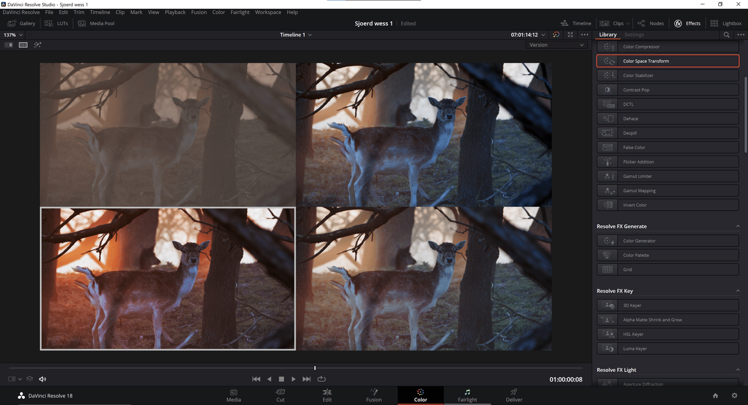 My First Grade using a Raw Footage - image 1 - student project