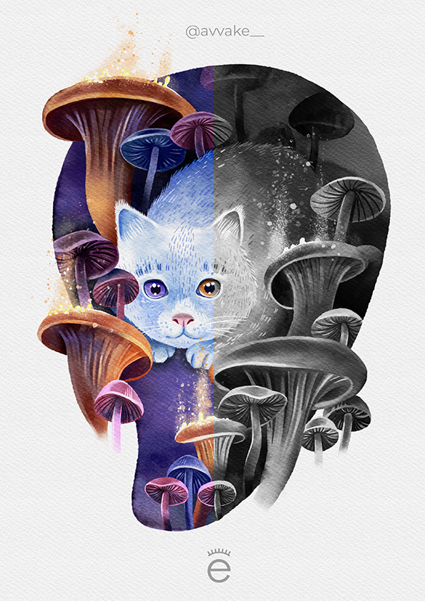Mushroom Cat - image 3 - student project