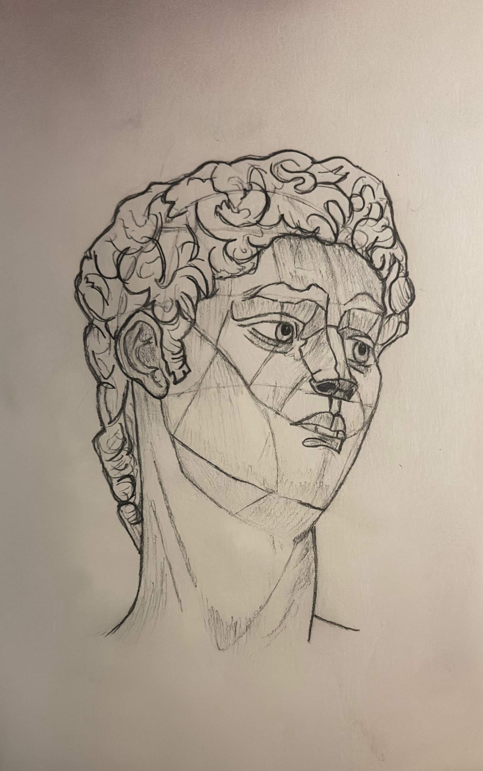 Drawing the Portrait - Michelangelo's David - image 1 - student project