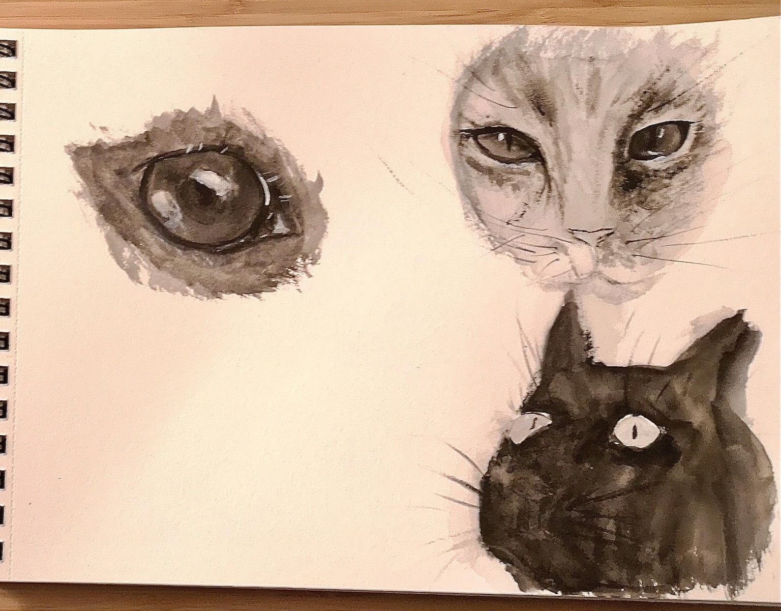 Look me in the eye - image 1 - student project