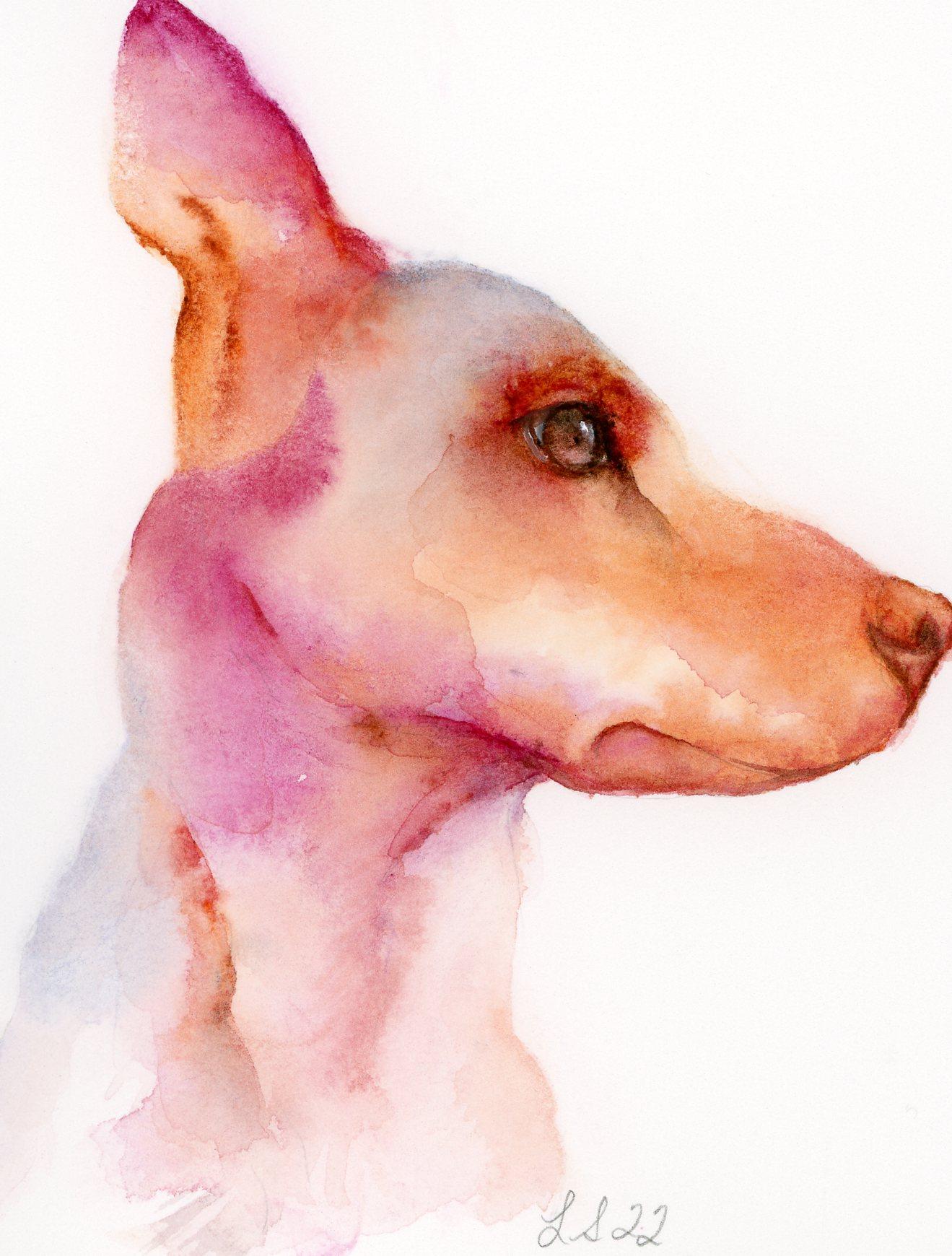Free flow pet portrait - Archie, Lily & Marco - image 2 - student project