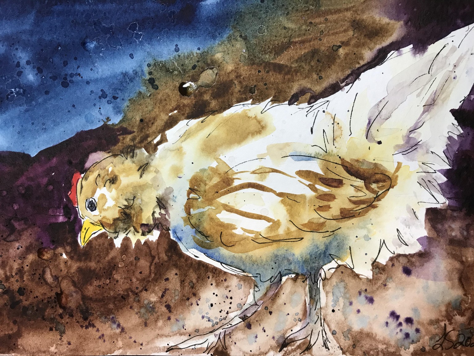 Chickens & Rabbits: Creating Loose Illustrations Using Ink and Watercolor Washes - image 2 - student project