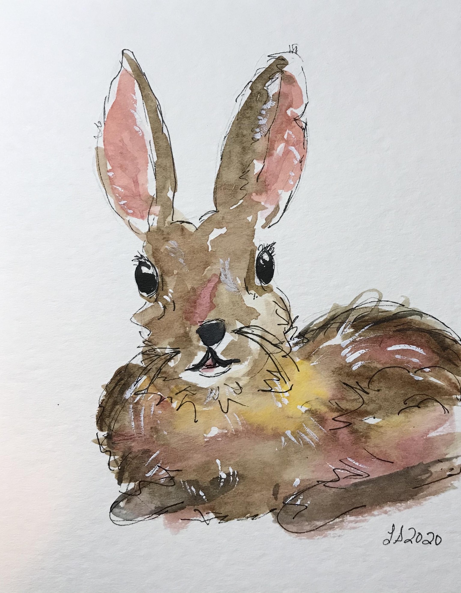 Chickens & Rabbits: Creating Loose Illustrations Using Ink and Watercolor Washes - image 3 - student project