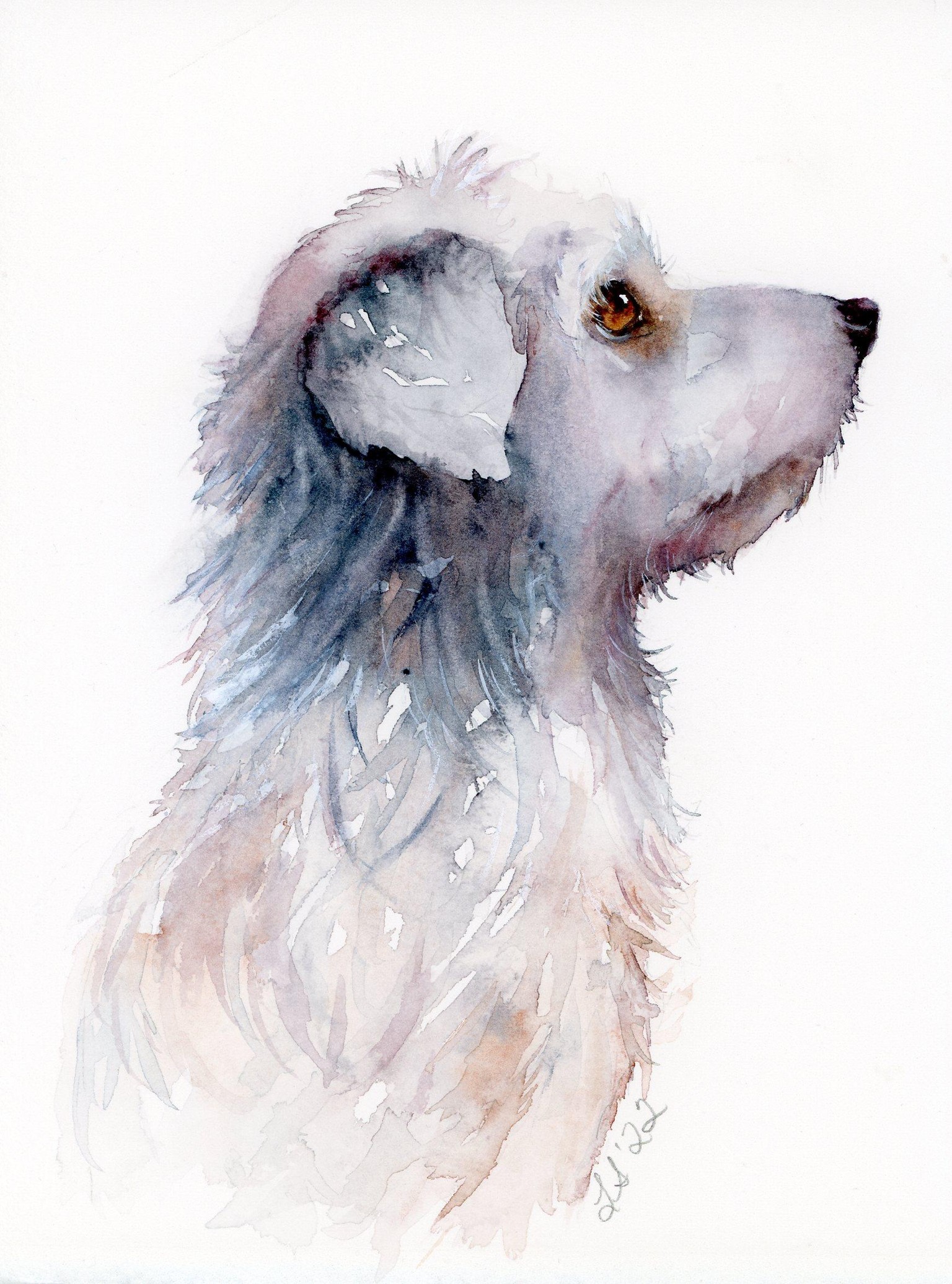 Free flow pet portrait - Archie, Lily & Marco - image 1 - student project