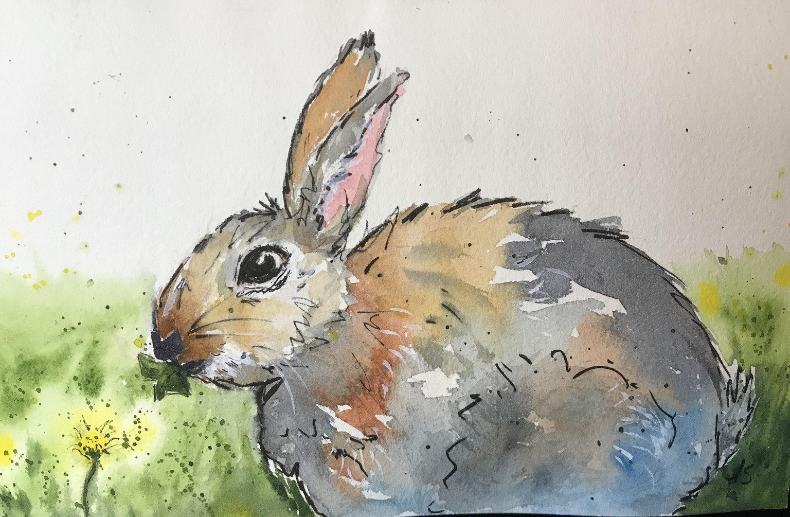 Chickens & Rabbits: Creating Loose Illustrations Using Ink and Watercolor Washes - image 1 - student project