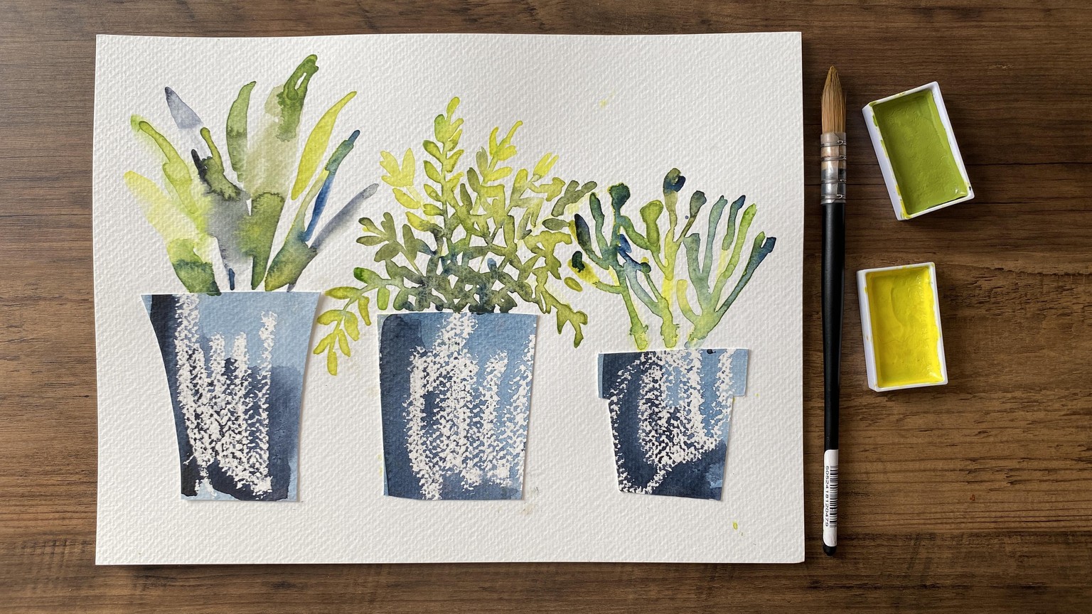 House Plants: Fern, succulent and potted palm - image 1 - student project