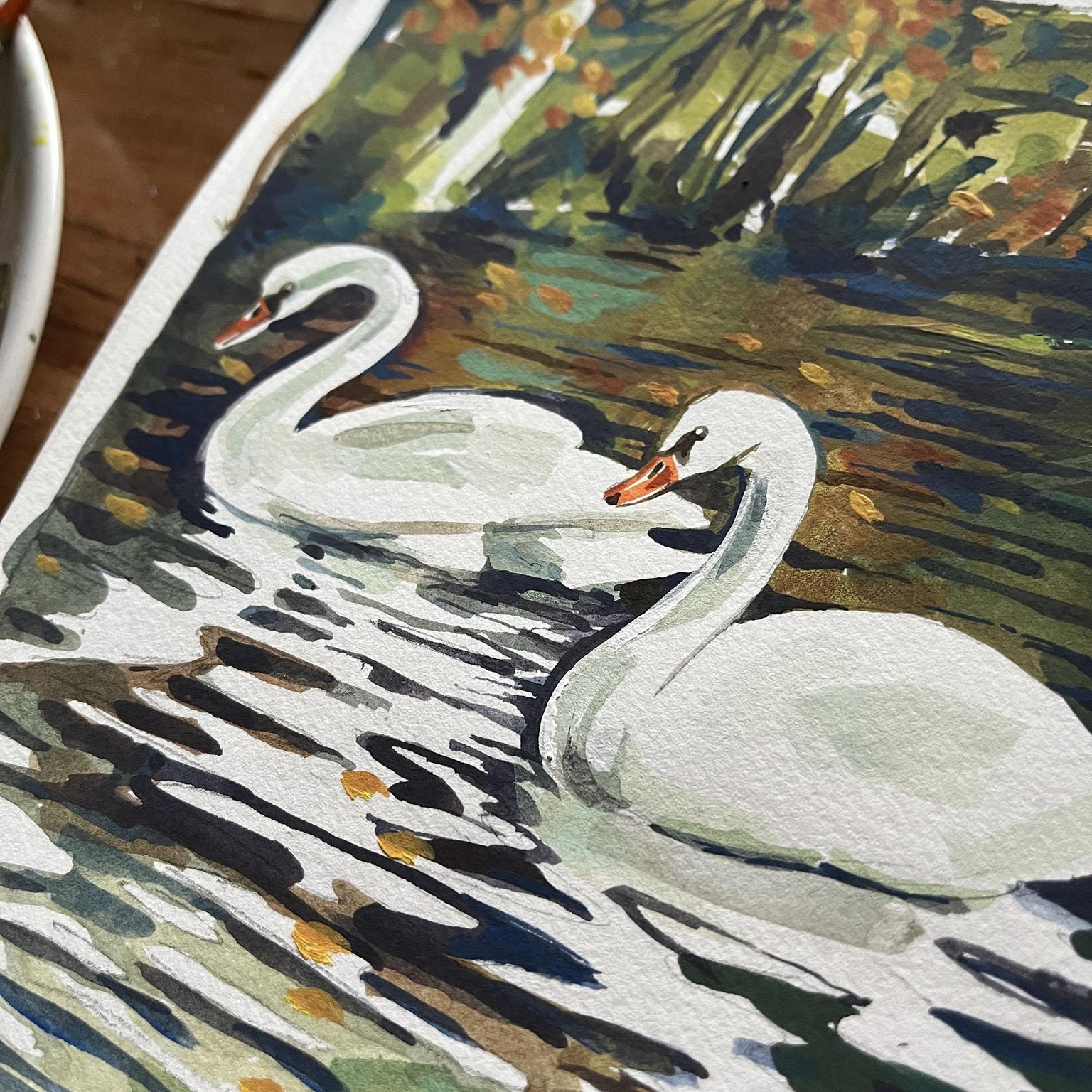 Two swans a swimming - image 2 - student project