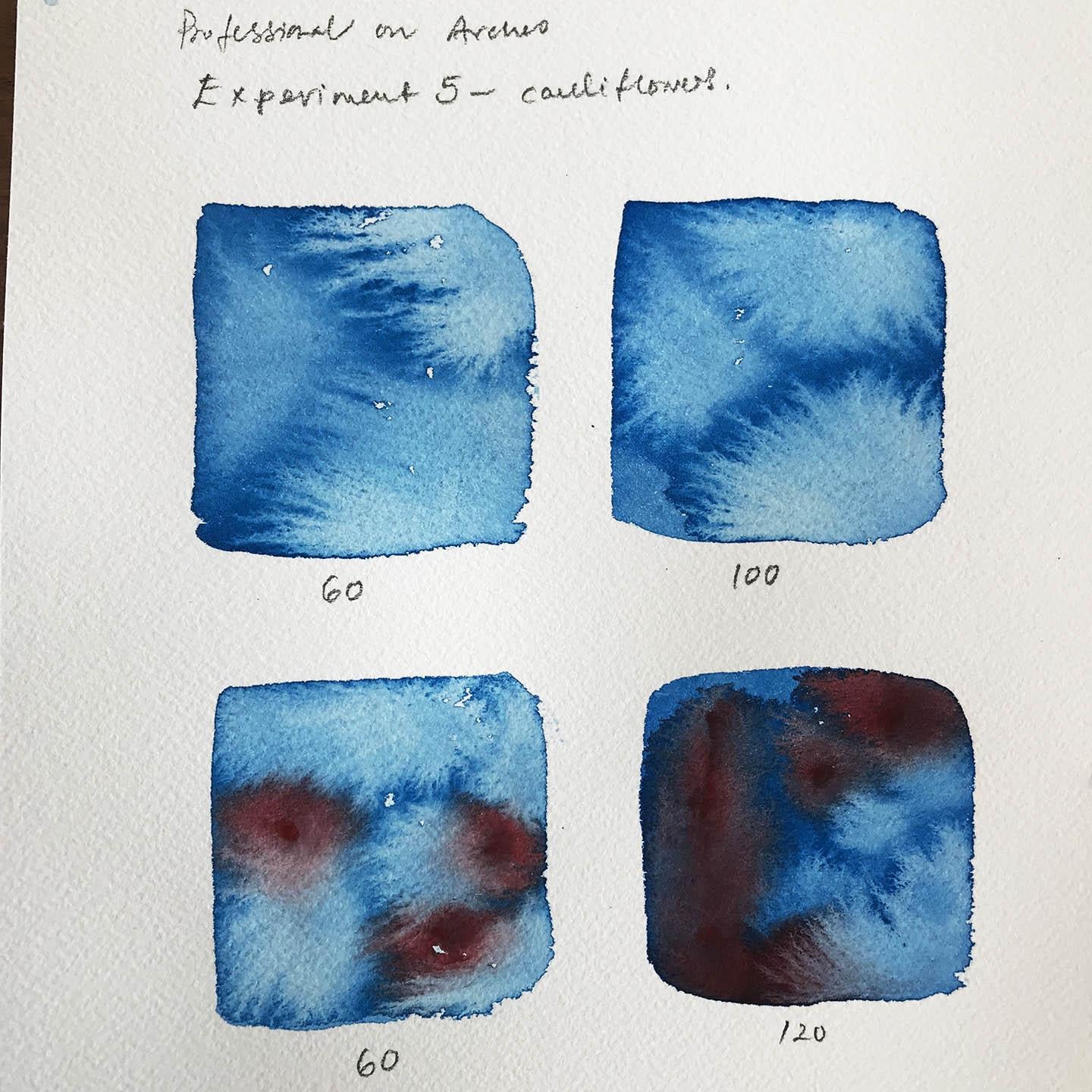 Timed Watercolour Experiments - image 3 - student project