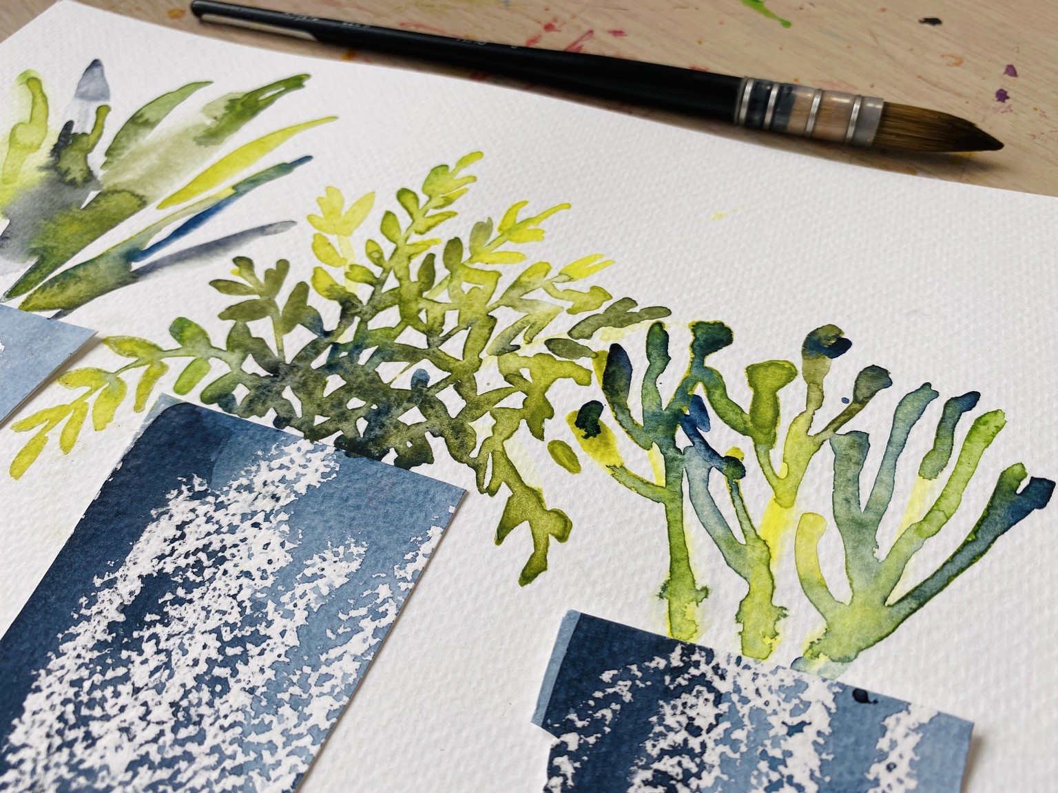 House Plants: Fern, succulent and potted palm - image 2 - student project
