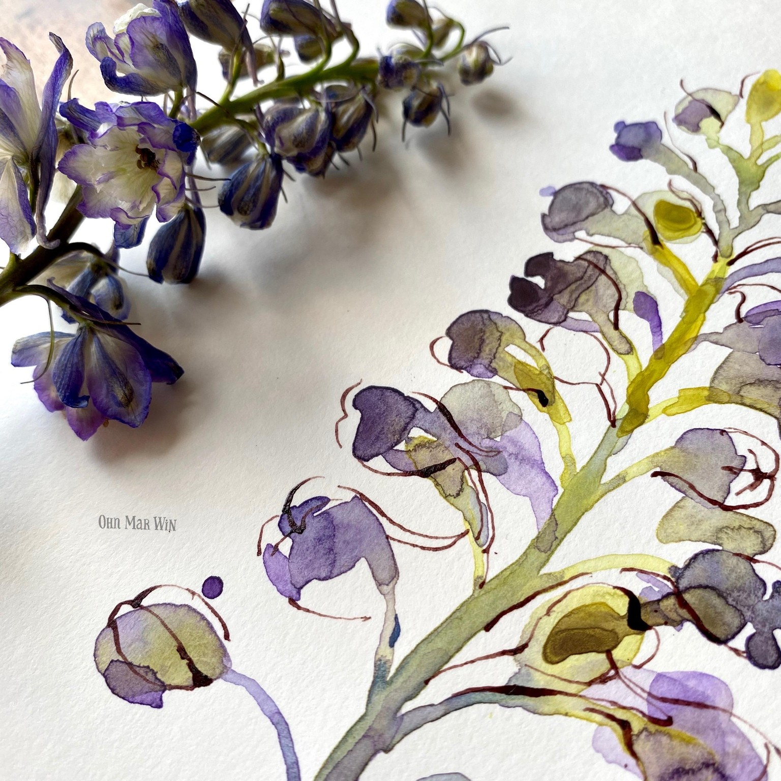 Delphinium, Butterfly bush & Queen Anne's Lace - image 4 - student project