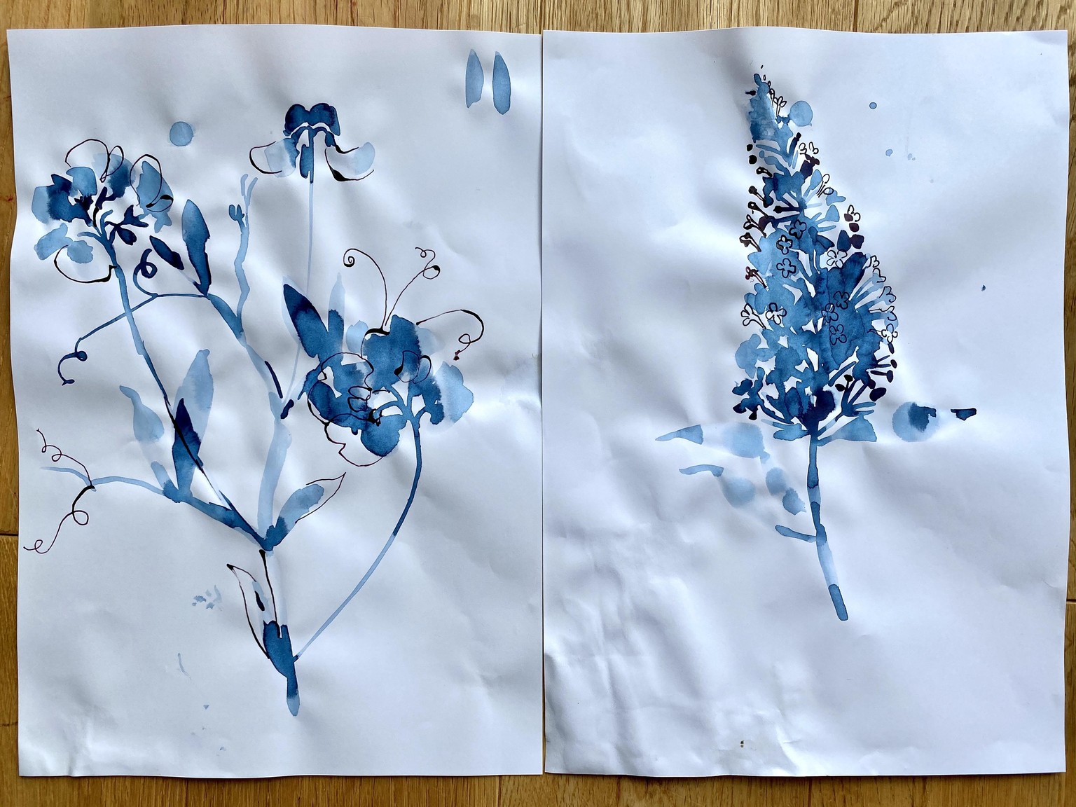 Delphinium, Butterfly bush & Queen Anne's Lace - image 2 - student project
