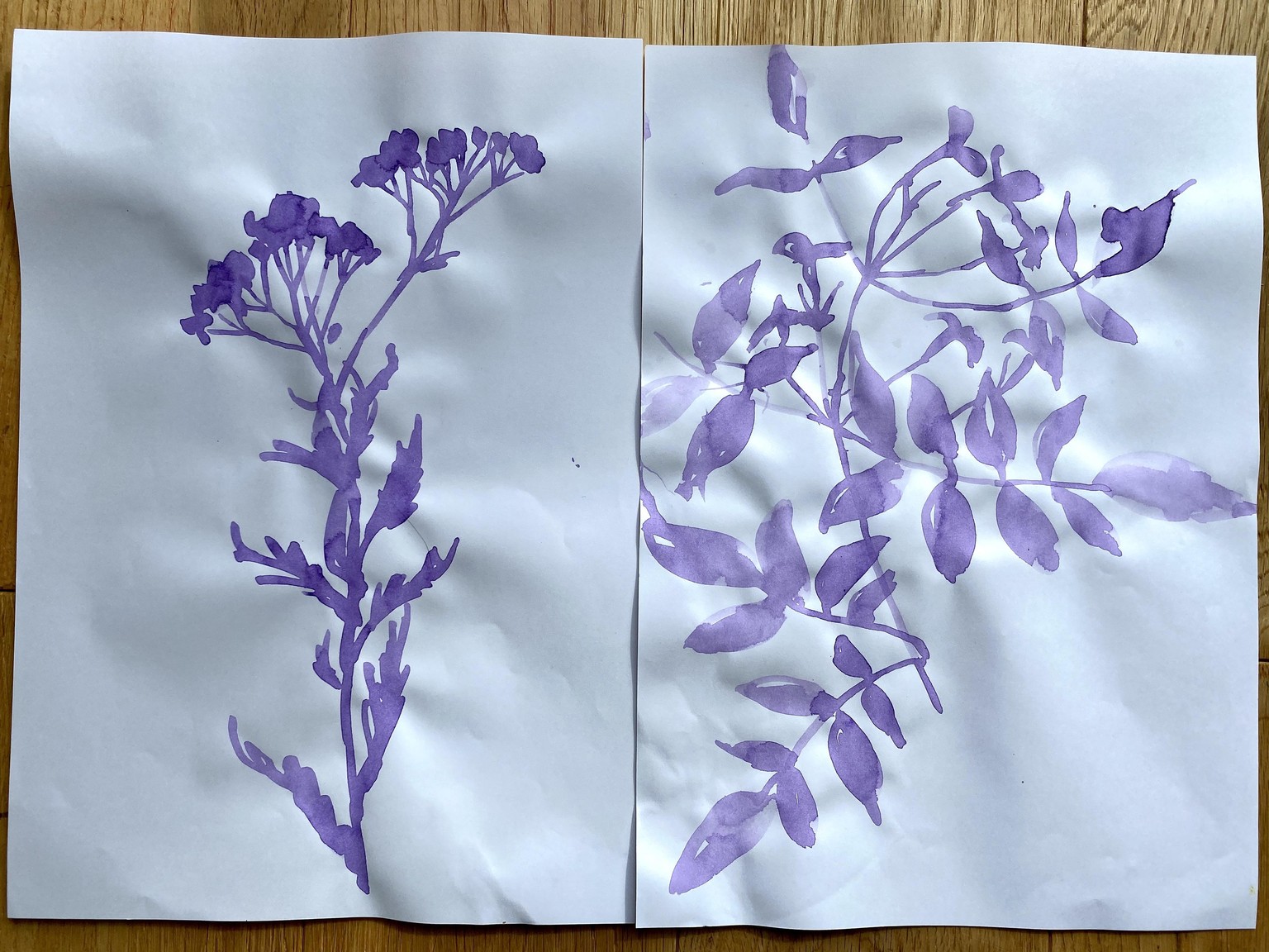 Delphinium, Butterfly bush & Queen Anne's Lace - image 1 - student project