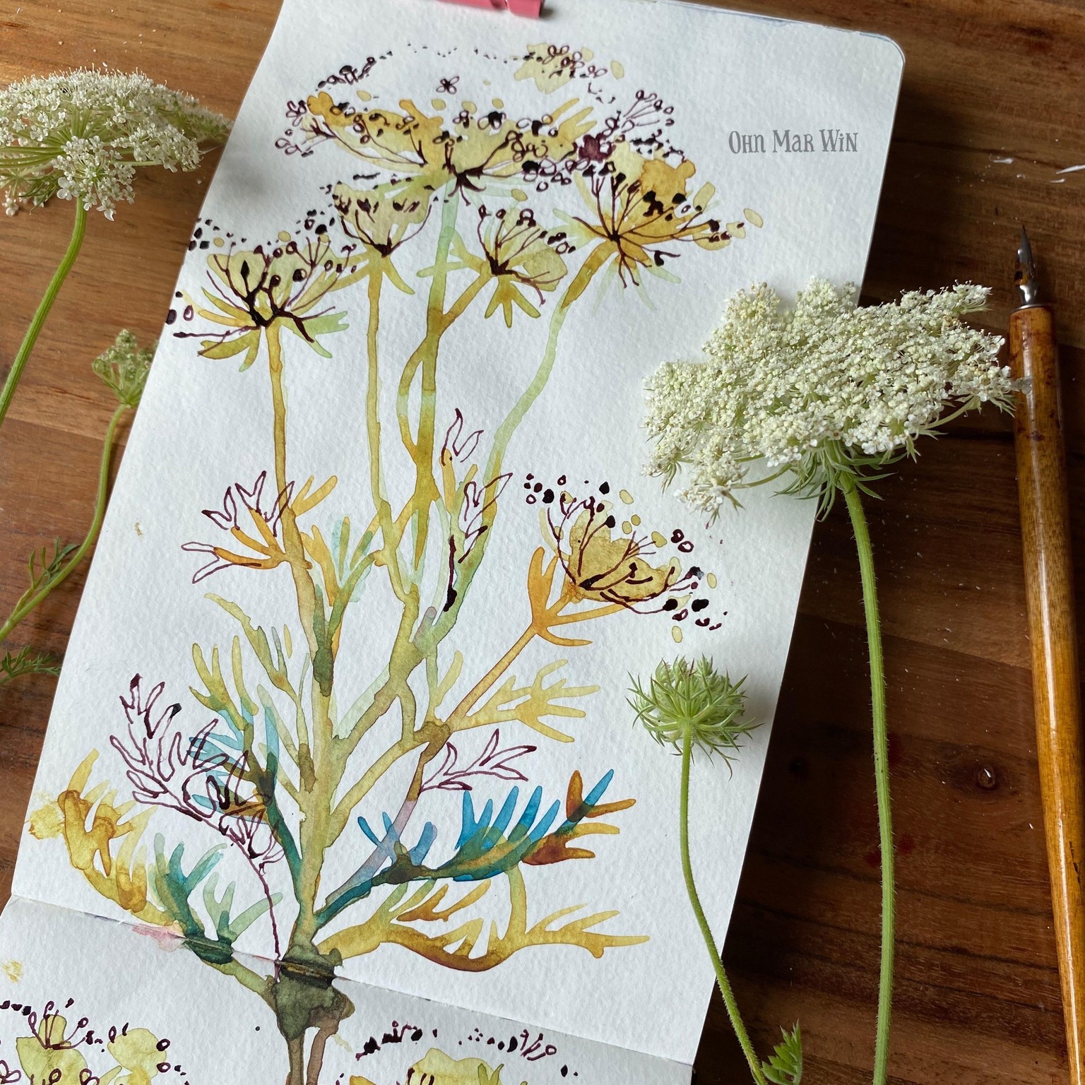 Delphinium, Butterfly bush & Queen Anne's Lace - image 5 - student project
