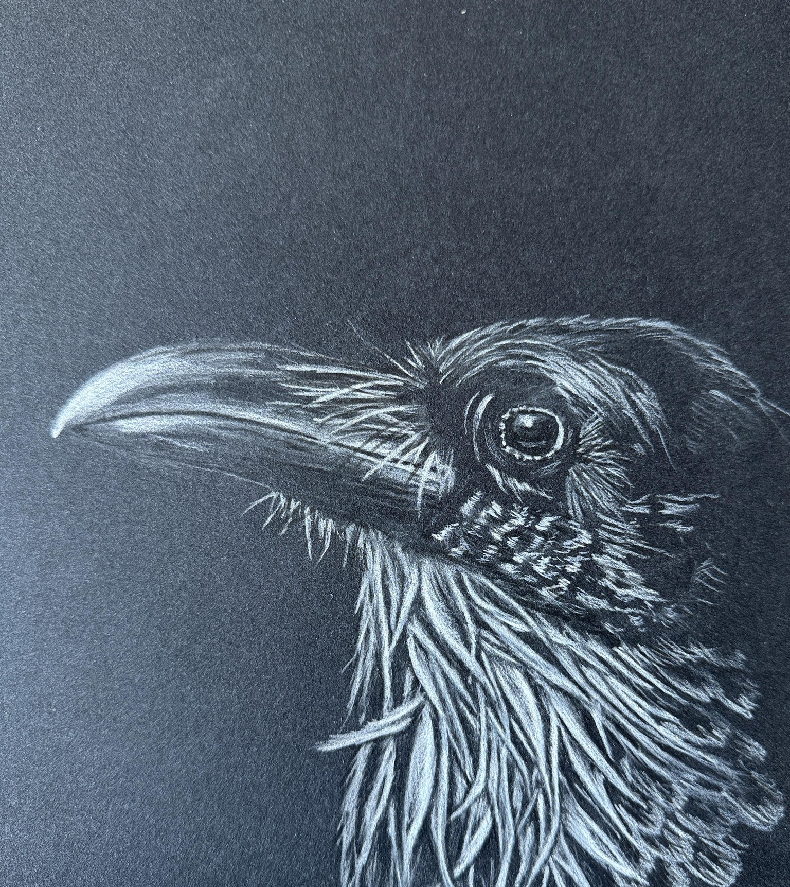 Raven - image 1 - student project