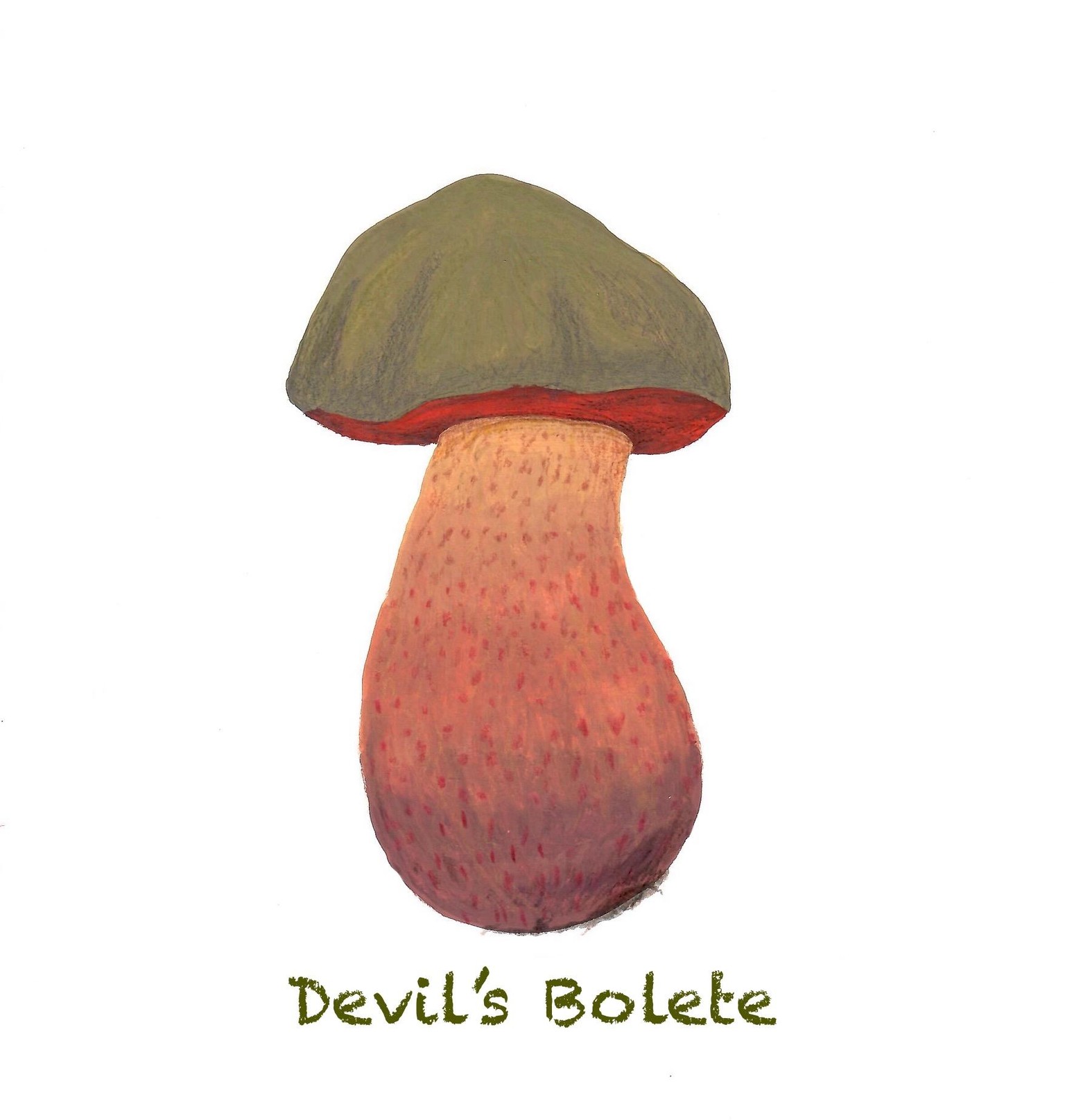 Mushrooms in Gouache - image 2 - student project