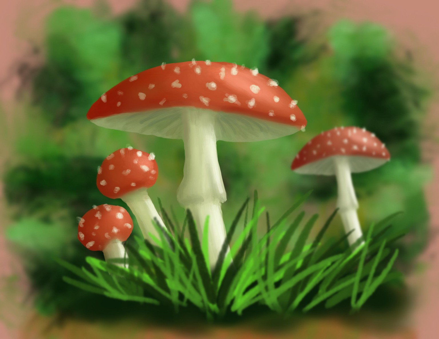 Mushrooms! - image 1 - student project