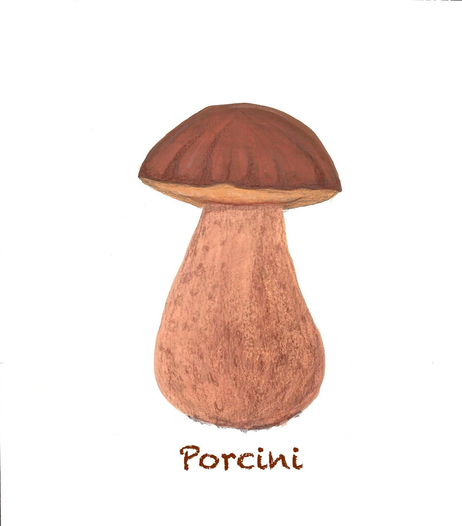 Mushrooms in Gouache - image 1 - student project