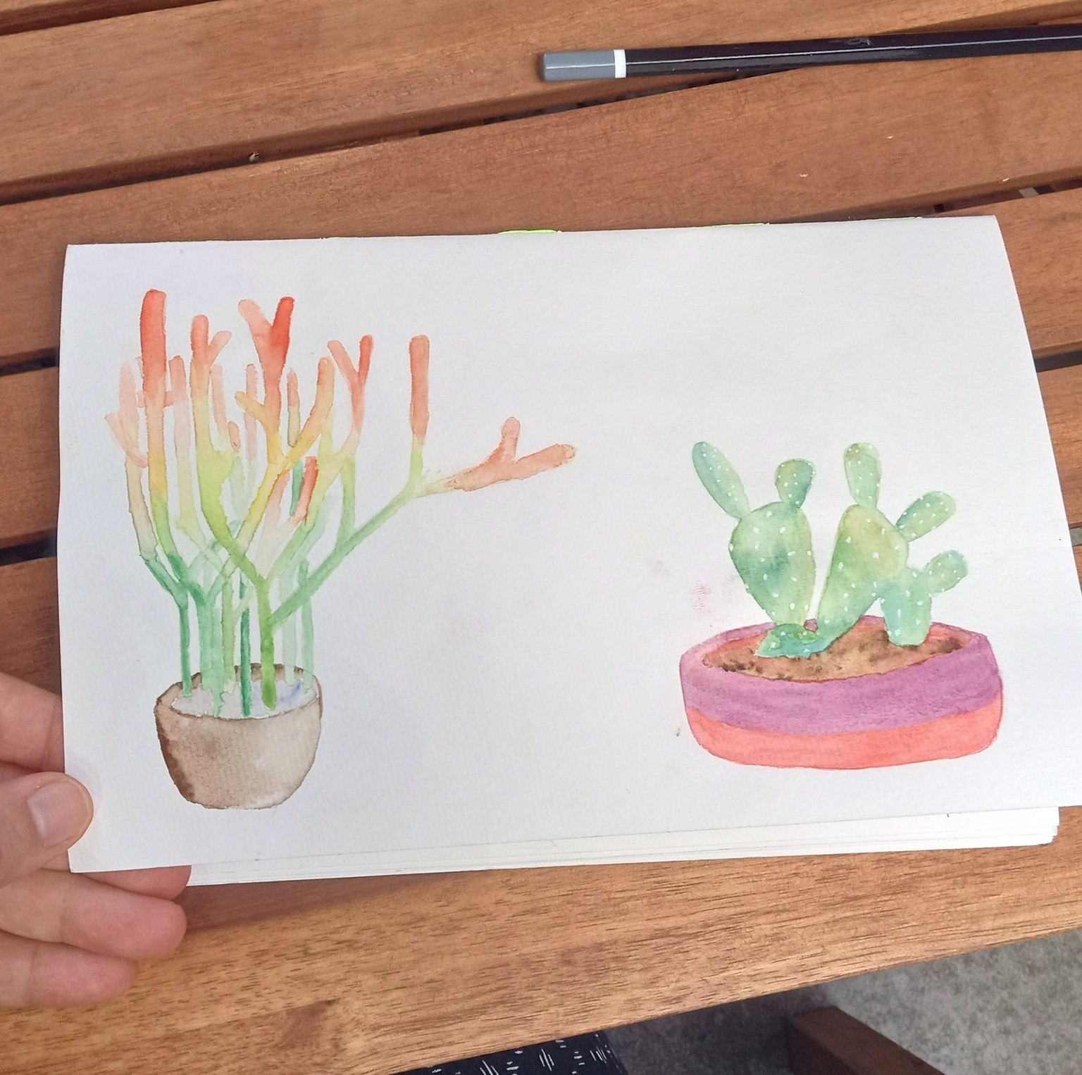 Watercolor Cacti - image 1 - student project