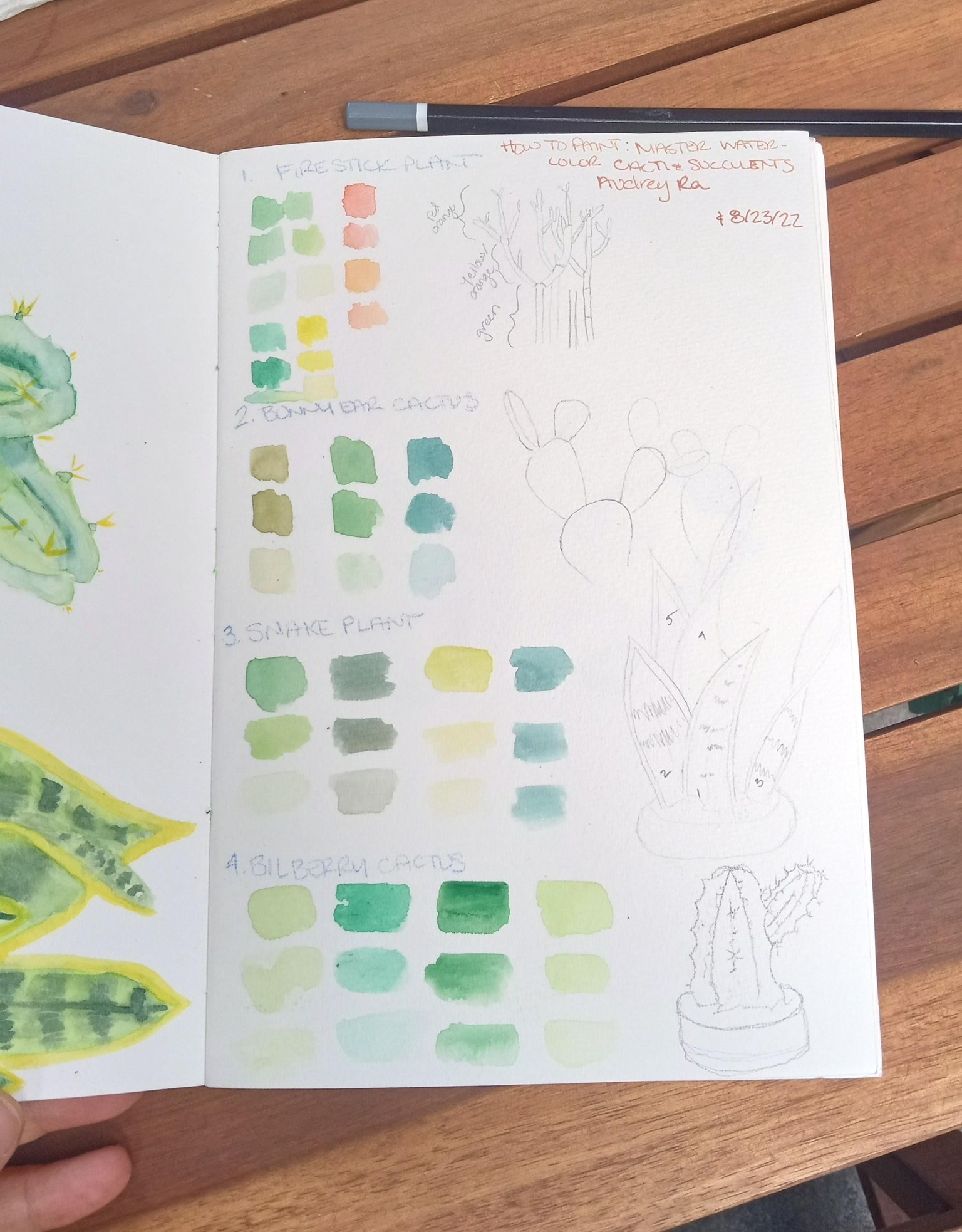 Watercolor Cacti - image 3 - student project