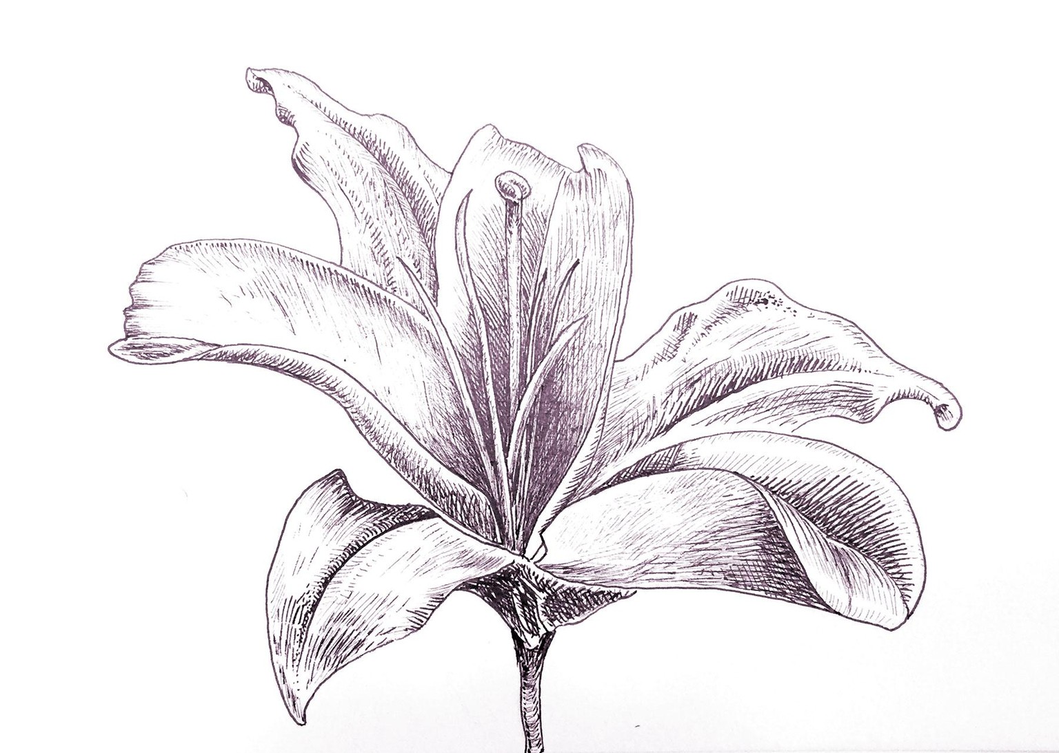 Finally using all the pens I bought! :) - image 4 - student project