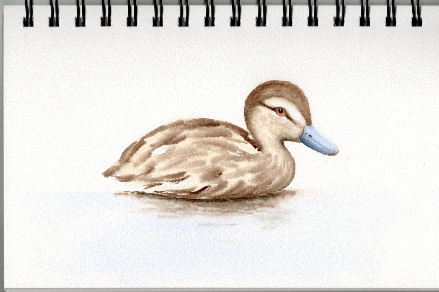 Duckling Watercolor - image 1 - student project