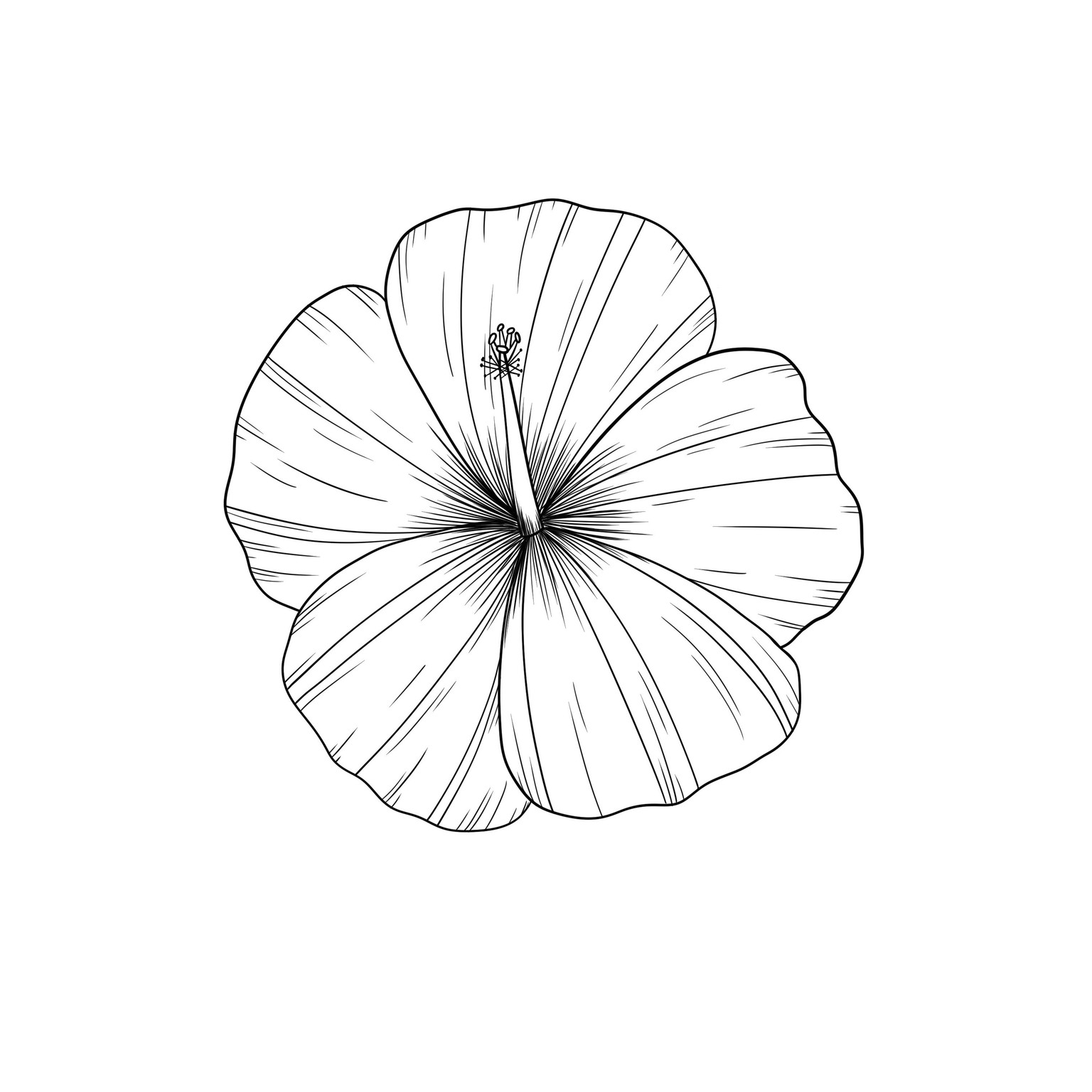 Hibiscus - image 1 - student project