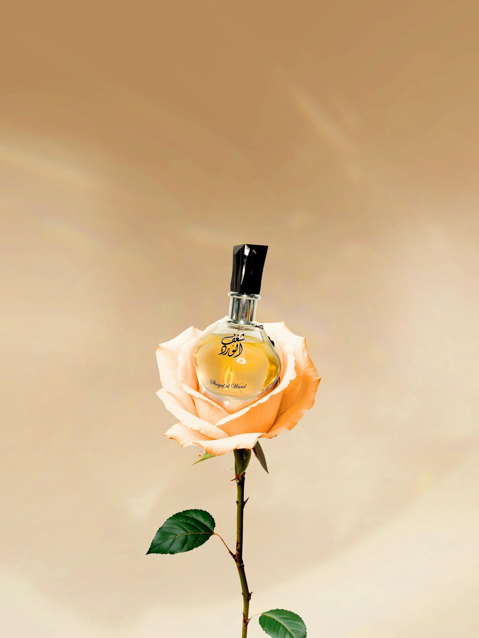Shagaf Al Ward - Creative Photography - image 1 - student project