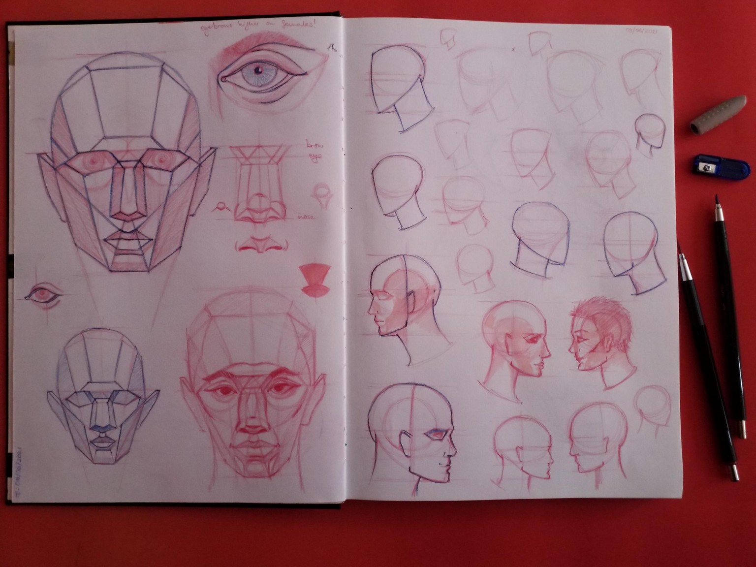 Head planes - image 2 - student project