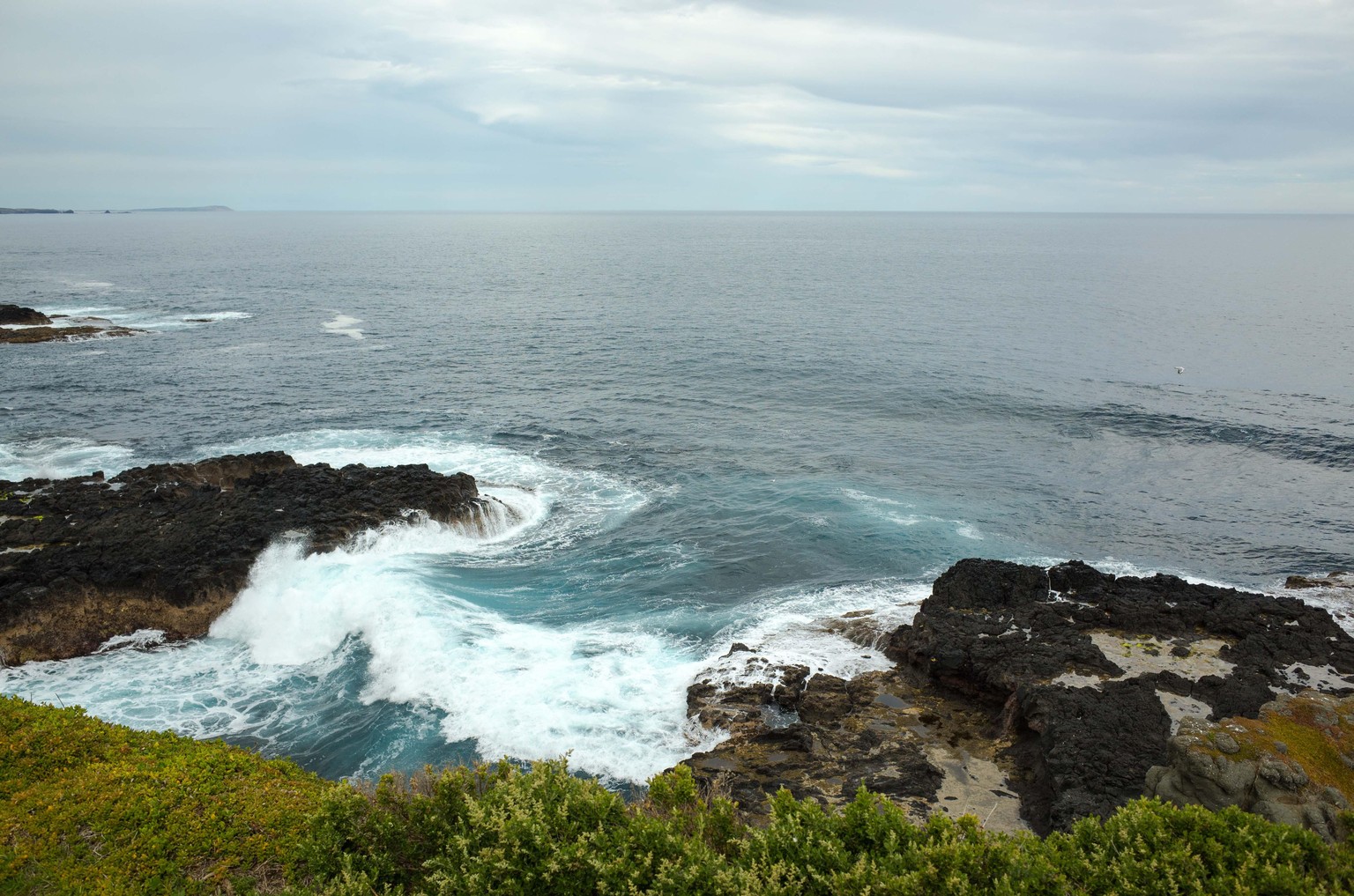 Open ocean - image 1 - student project