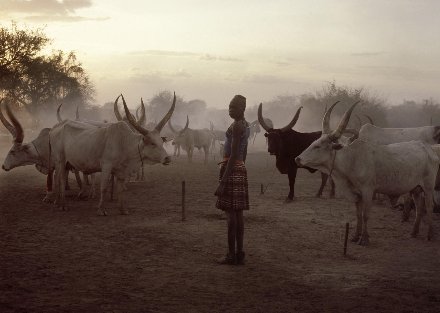Wonderlust Inspiration - image 8 - student project