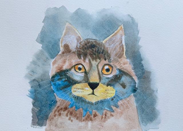 Cat Illustration - image 2 - student project