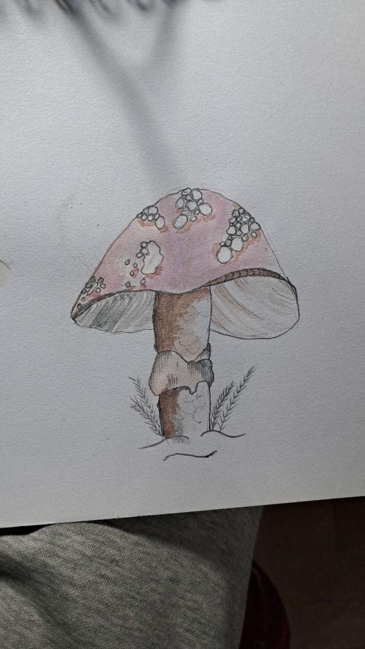 Mushrooms - image 2 - student project