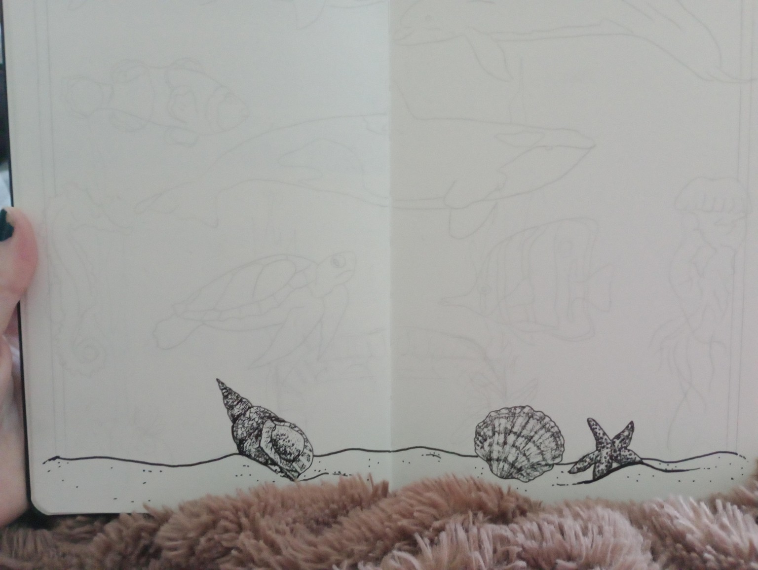 Shells and starfish - image 1 - student project
