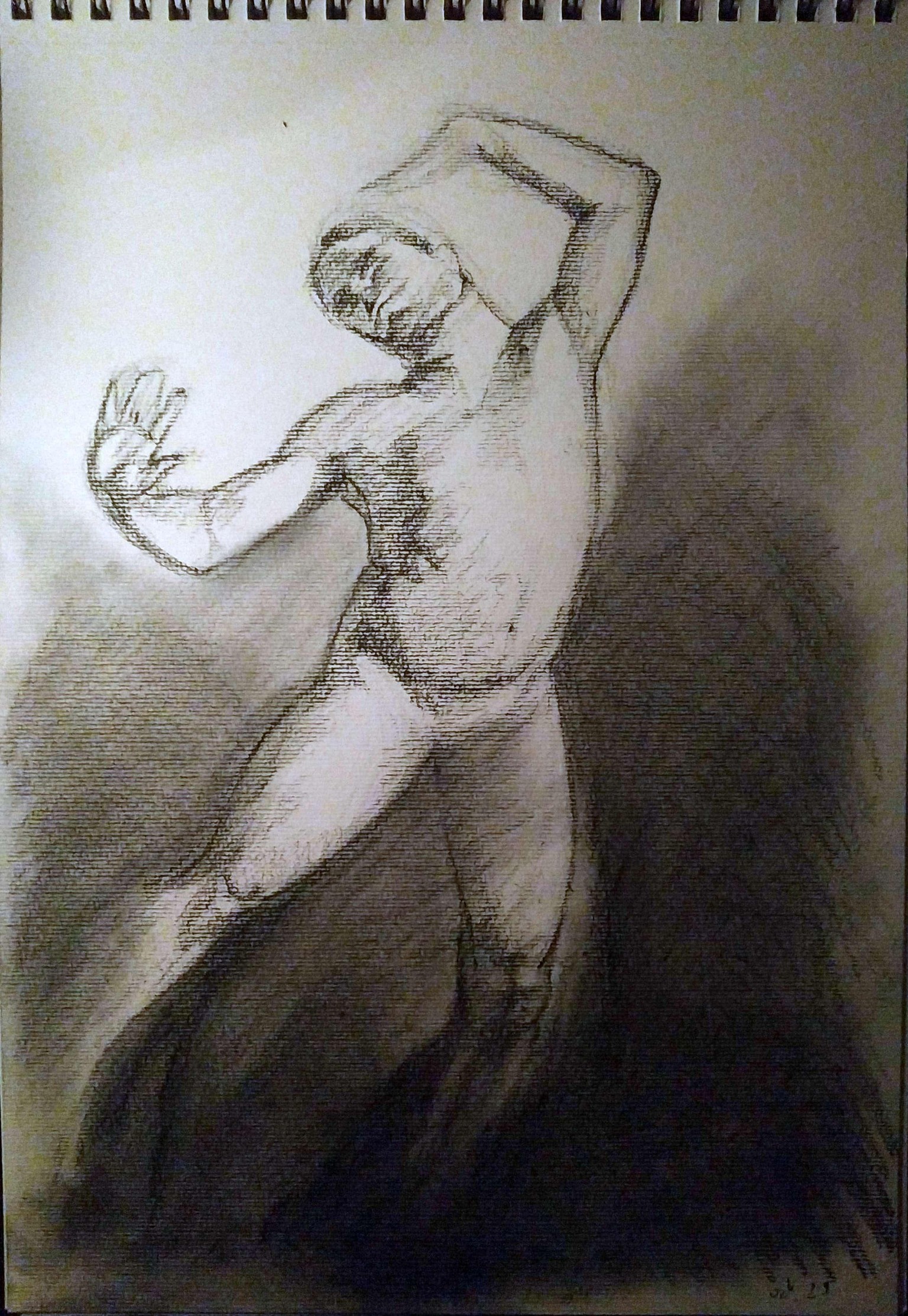 gesture and shading - image 3 - student project