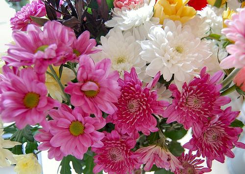 Little Inspiration Flowers - image 1 - student project