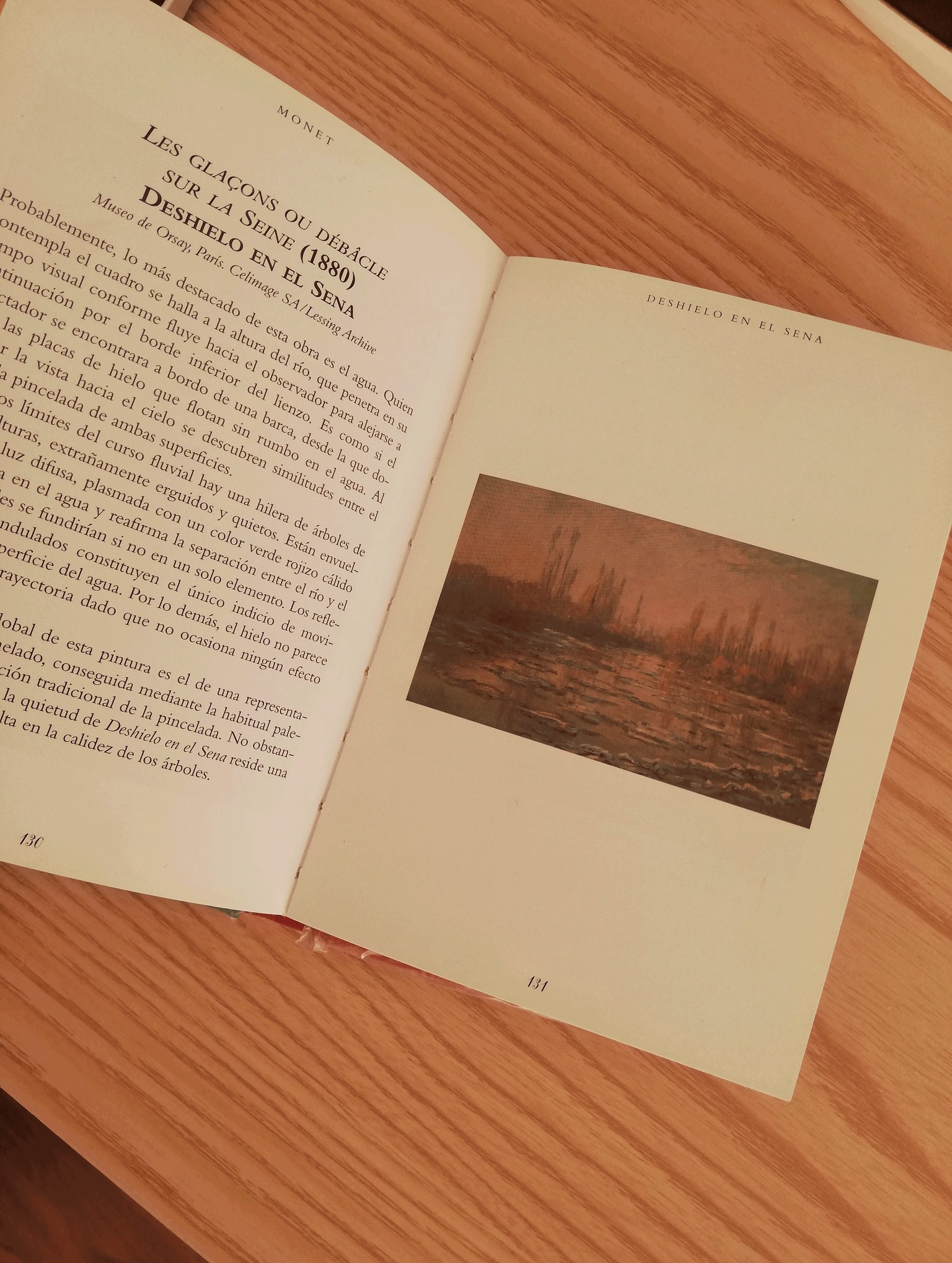 3d Inspired on Monet - image 4 - student project