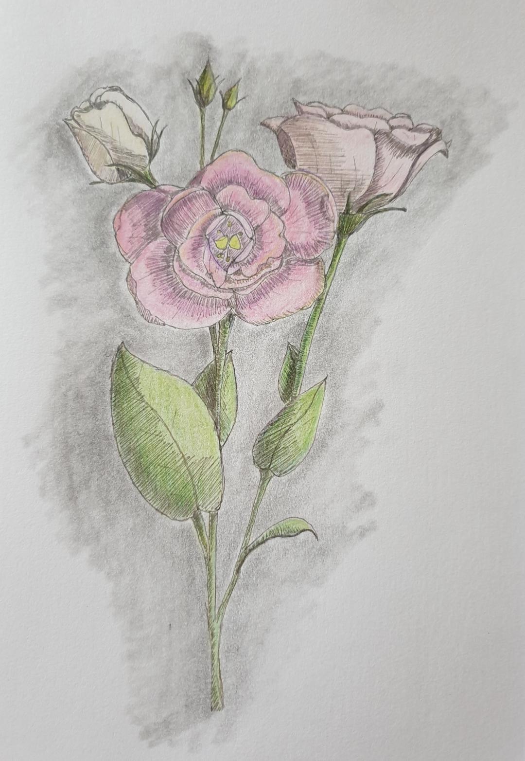 Creating a mixed media Floral Artwork using Pencils, Pens and Colored Pencils - image 4 - student project